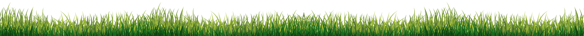 football field grass